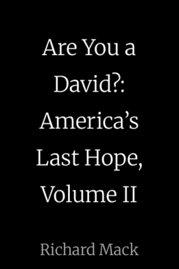 Are You a David?: America’s Last Hope, Volume II